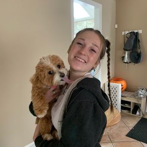 Meet your Posher, Lily